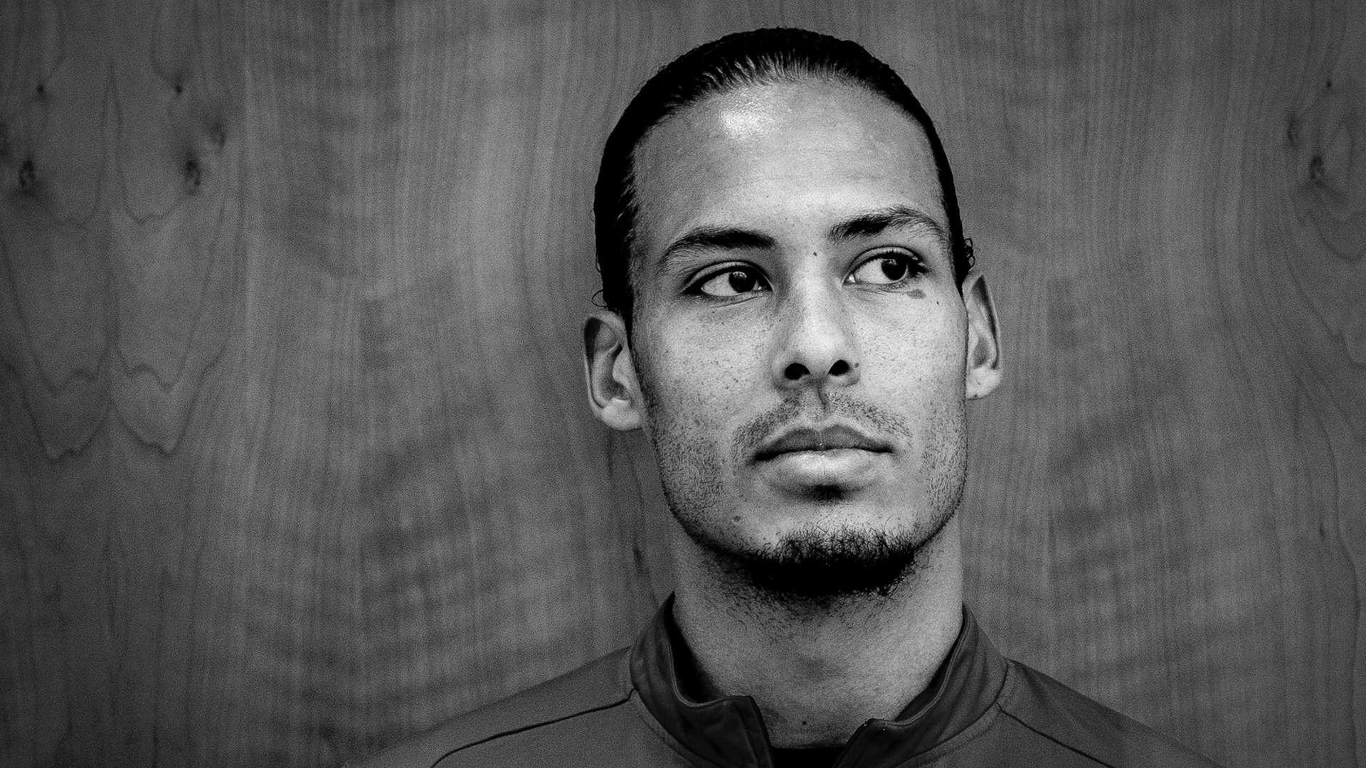 他的领导下 他的领导下